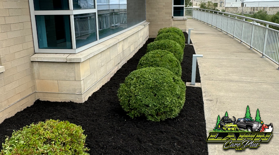 Landscaping
