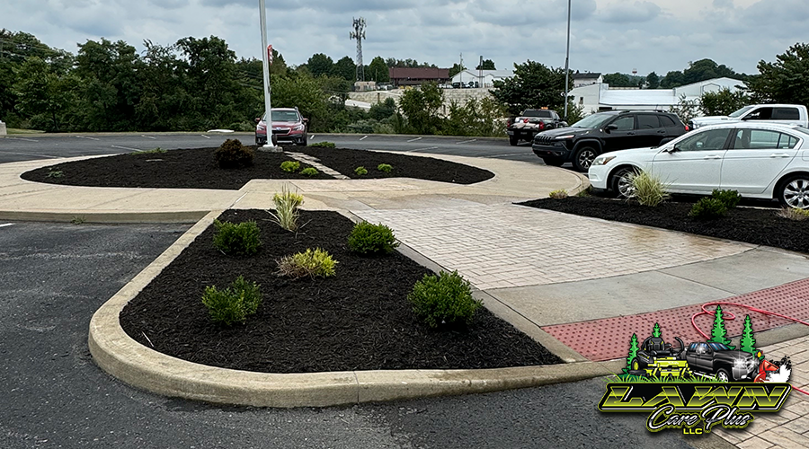 Landscaping