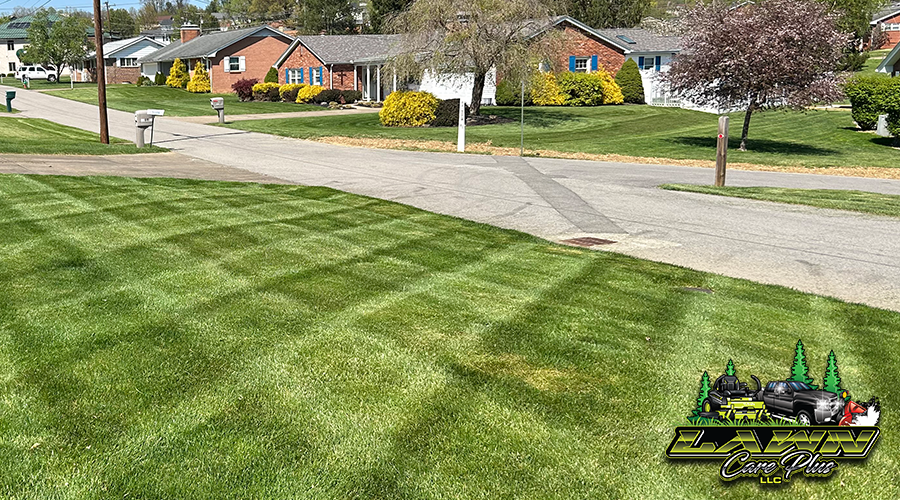 Landscaping