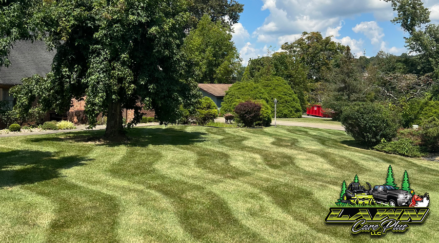 Landscaping