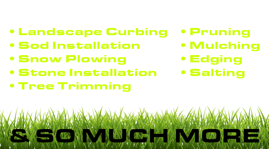 Landscape Curbing - Sod Installation - Snow Plowing - Stone Installation - Tree Trimming - Pruning - Mulching - Edging - Salting & So Much More