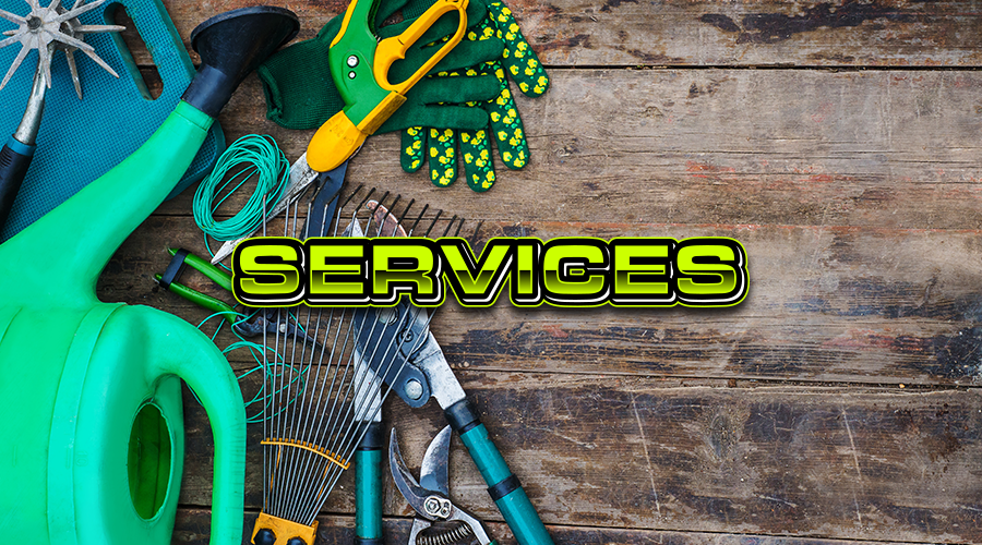 Services